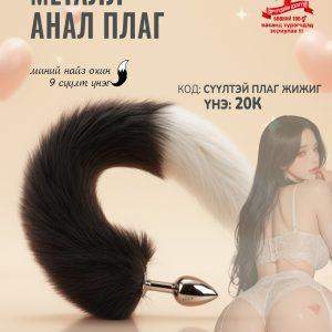 Сүүлтэй жижиг