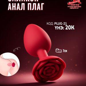 Plug-21